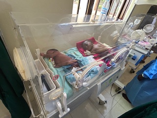 Above are two babies struggling to survive and they must share ONE incubator!