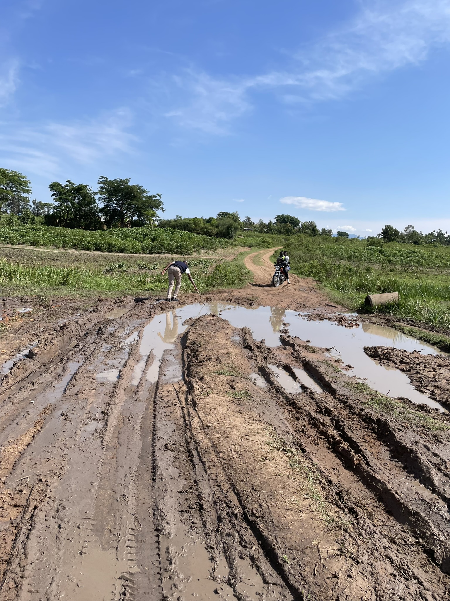 Dr Mukoza_stick in mud road